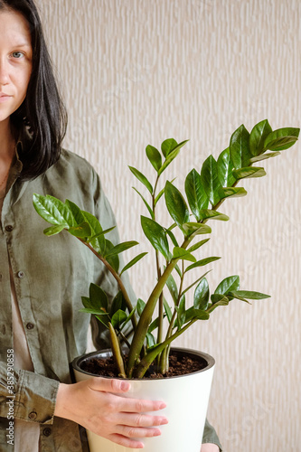 A young woman with dark hair in a green shirt in her hands a beautiful Zamioculcas Zamiifolia flower in a white pot. Home plants care concept. photo