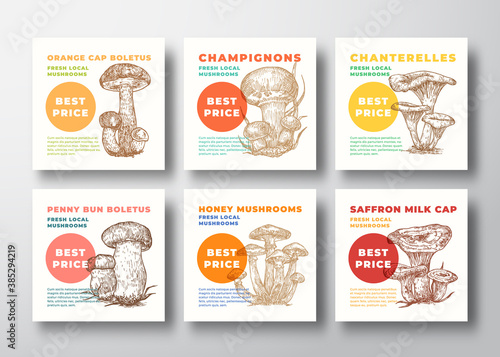 Mushrooms Vector Label Templates Collection. Hand Drawn Champignons, Chanterelles, etc. Sketches with Modern Typography. Edible Plants Cards. Advertising Emblems or Package Labels Set.