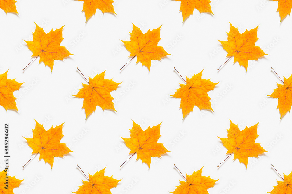 Autumn seamless pattern. Yellow maple leaves on white background