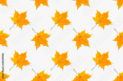 Autumn seamless pattern. Yellow maple leaves on white background