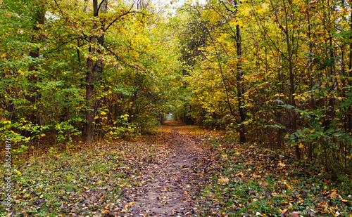 Trail without people in a city park in rainy autumn