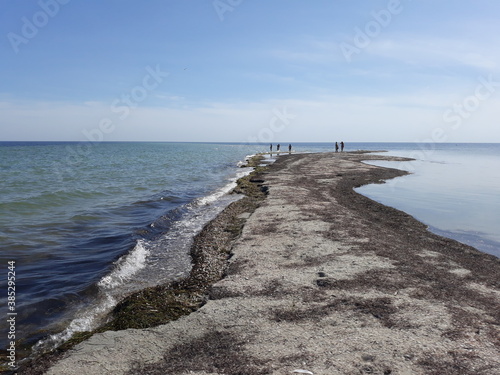 Bird Island in Khorly  Kherson region.