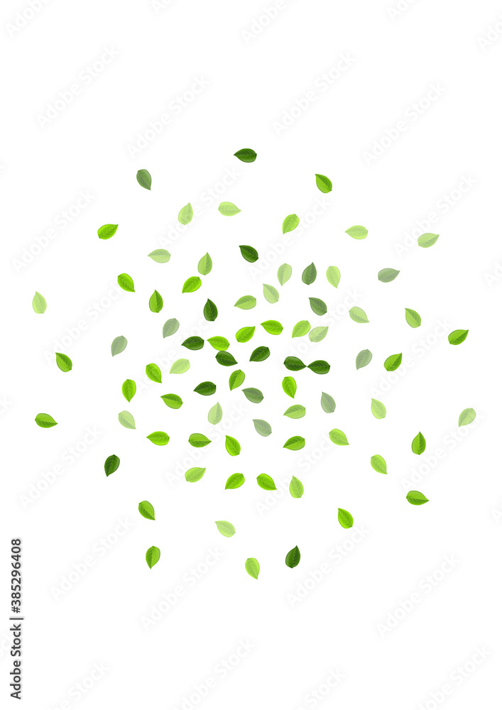 Swamp Leaf Abstract Vector Poster. Ecology 