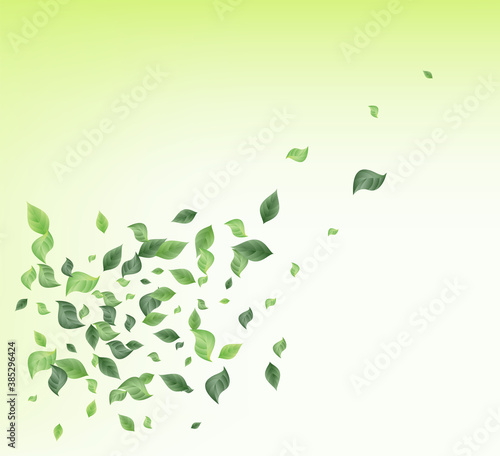 Green Foliage Swirl Vector Green Background 