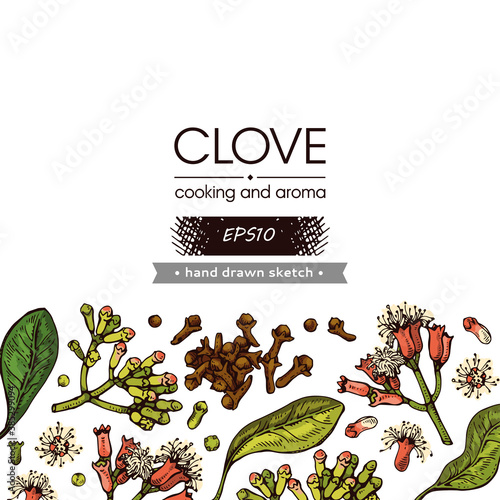 Background with branches of a carnation tree with leaves, buds and flowers. Detailed hand-drawn sketches, vector botanical illustration.