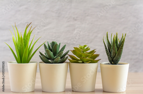 Several small pots with artificial succulents on a light table or shelf against the wall in the room.Copy of the space.