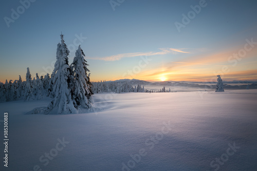 winter view of the Kubinska hola, Slovakia photo