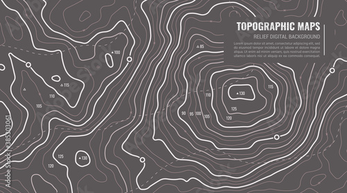 Fotografie, Tablou Geographic Topographic Map Grid
