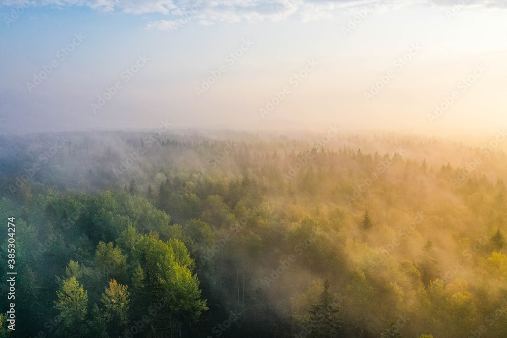 Sunrise above a forest on a foggy morning in Espoo, Finland