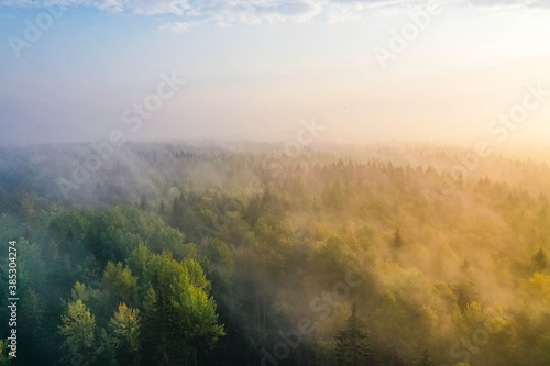 Sunrise above a forest on a foggy morning in Espoo, Finland © Romi