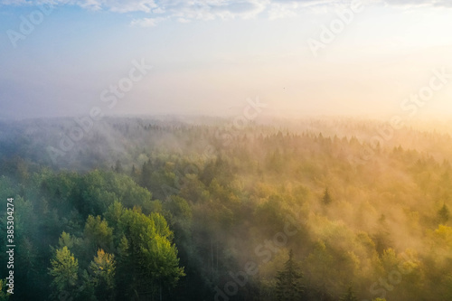 Sunrise above a forest on a foggy morning in Espoo, Finland