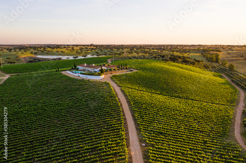 Aerial view of Vineyard estate, Portugal. photo