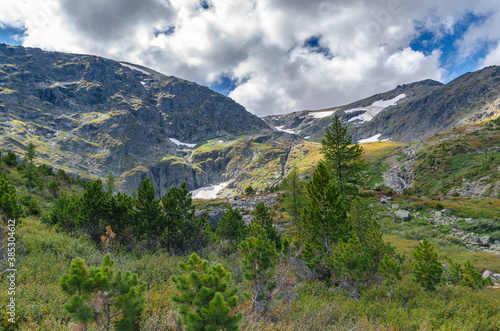 Altai Mountains and tundra high mountain vegetation of Siberia