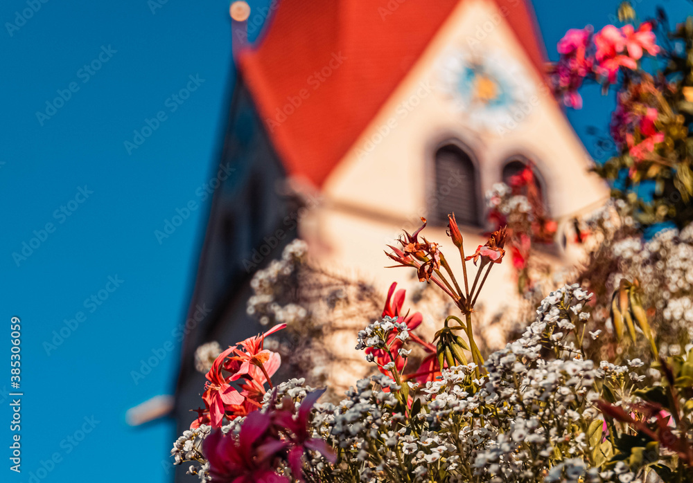 Beautiful alpine flowers at notburga church near the famous Achensee, Eben, Tyrol, Austria