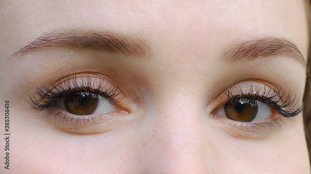 Fototapeta premium Concept of beauty and fashion. Banner women's eyes with long false eyelashes. Macro snapshot.