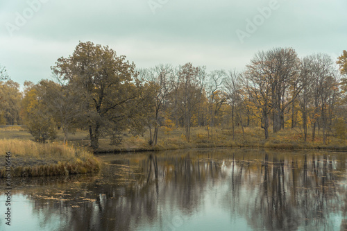 autumn trees near a small lake