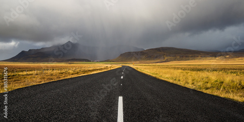 Road into the rain
