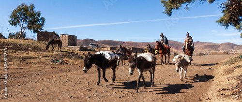 The road leading to the remote houses in this small village in Lesotho is very rough. This means goods must be brought in on donkeys and horses.