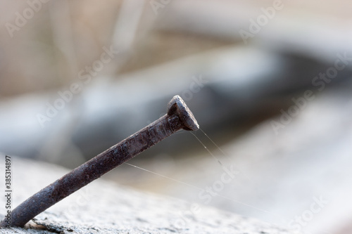 Bent rusty metal nail and white thin spider web