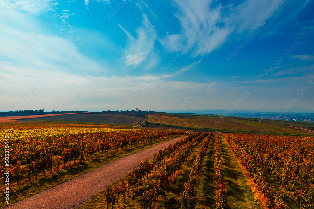 A view of the landscape from the lookout tower in Kobyli in Moravia in the Czech Republic in Europe. You can see the vineyards and the landscape of Palava.