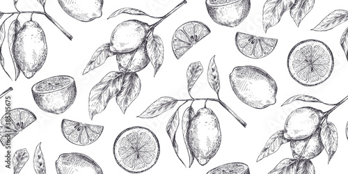 Vector seamless pattern with hand drawn fresh lemon tree branches, fruits and flowers in sketch style.