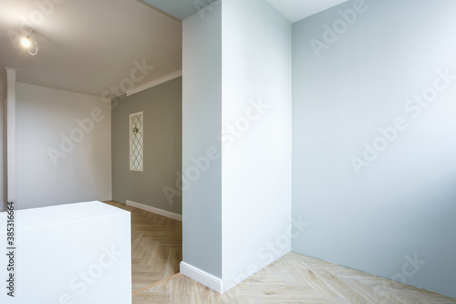 Empty room with minimal preparatory repairs with crown molding. interior of white and gray walls