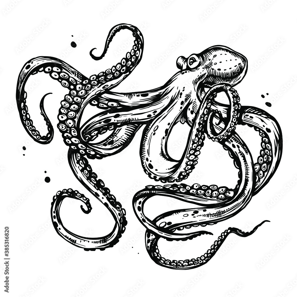 Octopus with tentacles. Hand drawn ink doodle sketch, black and white line art, stock vector illustration isolated on white background. Design for tattoo, coloring book page. Octopus with tentacles. Hand drawn ink doodle sketch, black and white line art, stock vector illustration isolated on white background. Design for tattoo, coloring book page.