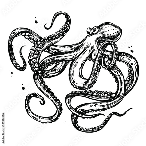 Octopus with tentacles. Hand drawn ink doodle sketch, black and white line art, stock vector illustration isolated on white background. Design for tattoo, coloring book page.