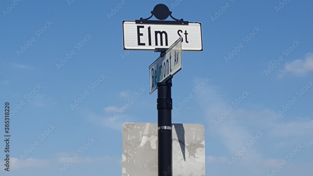Schild Elm Street Chicago Strassenschild Schild Elm Street Chicago Strassenschild