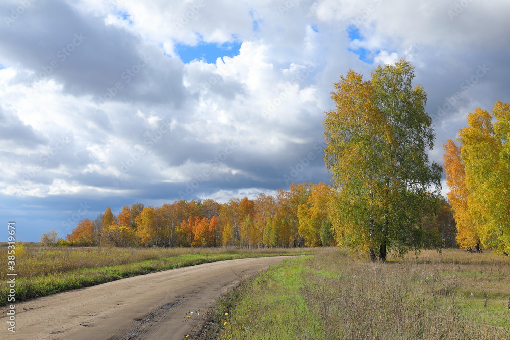 Field road and forest edge in autumn in Russia
