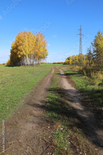 Field road in autumn in Altai in Russia © pisotckii