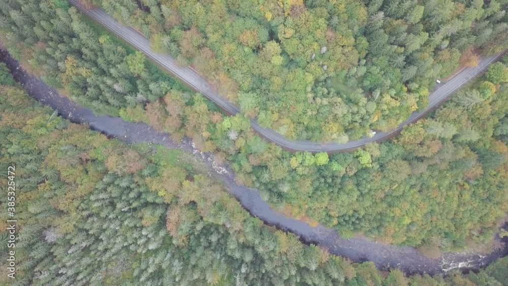 Amazing autumn nature landscape. Flying above river, mixed forest, green spruces and yellow and red trees. Aerial shot, 4K. Road surrounded by a beautiful large forest and river. Cinematic drone shot. Amazing autumn nature landscape. Flying above river, mixed forest, green spruces and yellow and red trees. Aerial shot, 4K. Road surrounded by a beautiful large forest and river. Cinematic drone shot.