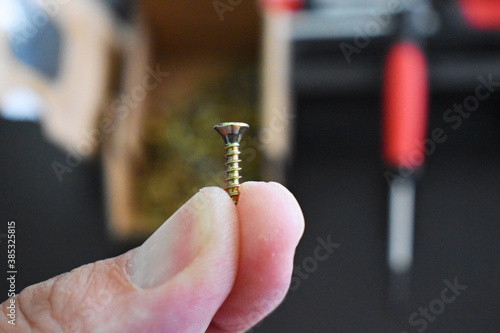 holding close up wood screw for house workshop