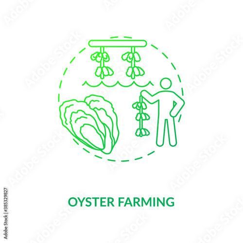 Oyster farming concept icon. Luxury seafoods growing. Healthy organic foods variety. Shellfishes picking. Aquaculture idea thin line illustration. Vector isolated outline RGB color drawing