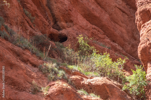 grand canyon state