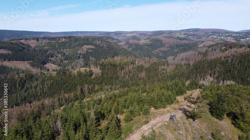 Waldsterben im Harz