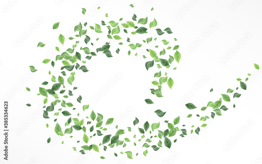 Grassy Leaves Spring White And Gray Background Grassy Leaves Spring White And Gray Background