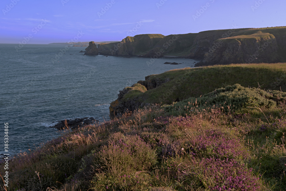 View from the cliffs