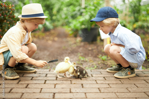 kindergarten children look after little cute ducklings in the garden, respect all animals in nature, stroke them and learn. flora and fauna concept