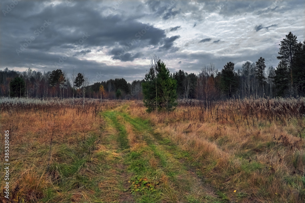 Autumn landscape dirt road in the middle of a meadow with wilted grasses against the backdrop of a forest and a dramatic cloudy sky.