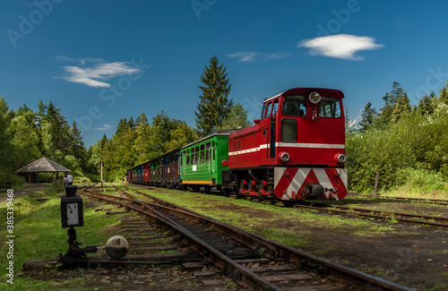 Fototapeta Naklejka Na Ścianę i Meble -  Narrow gauge railway in Balnica station in Poland mountains in summer sunny day
