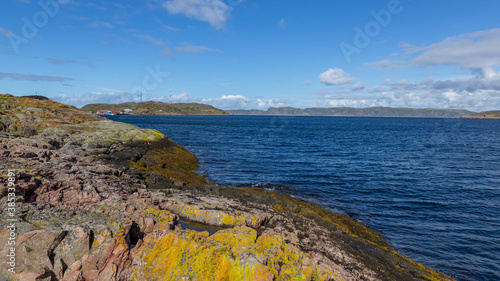 The coast of the Barents sea, Teriberka, August 2020, Russia