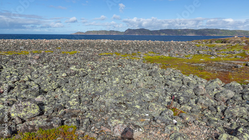 The coast of the Barents sea, Teriberka, August 2020, Russia
