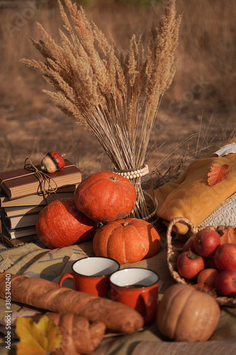 Old novels book, apples in a basket, a couple of cups on an autumn picnic, autumn still life, the concept of coziness in a rural location during harvesting