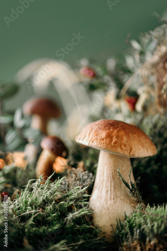 Fresh porcini mushroom in green moss. Autumn harvest concept. Boletus edulis, cep mushrooms. Copy space. Organic forest food, green grass, red lingonberry