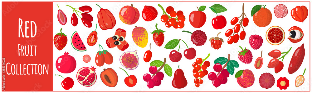 Set of vector cartoon illustrations with exotic red fruits isolated on white background. Set of vector cartoon illustrations with exotic red fruits isolated on white background.