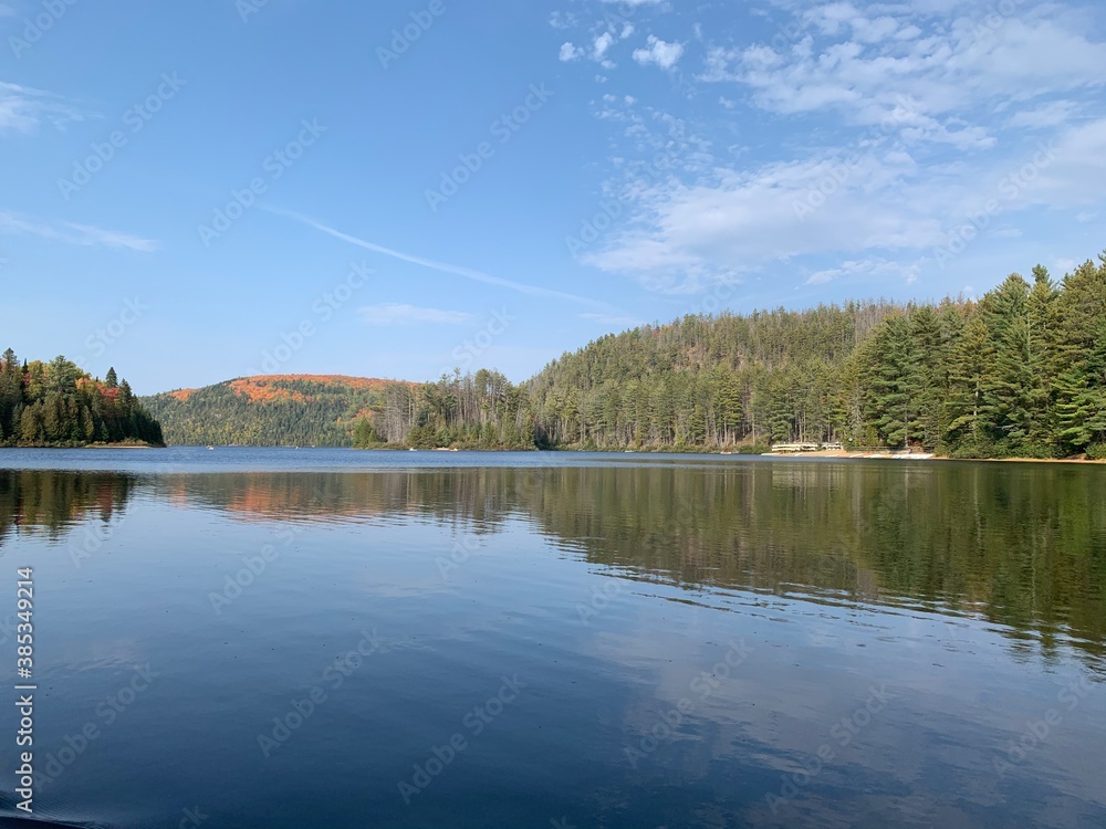 lake and forest