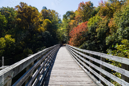 Wooden bridge in autumn forest  The Virginia Creeper National Recreation Trail  Abingdon  VA  USA
