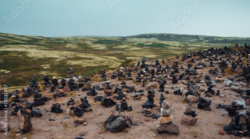 flock of sheep in the mountains