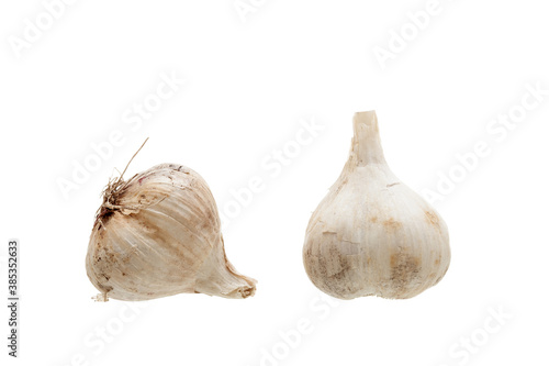 garlic head fresh fragrant vegetable two ripe ingredients for cooking isolated on a white background.